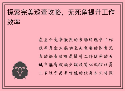 探索完美巡查攻略，无死角提升工作效率