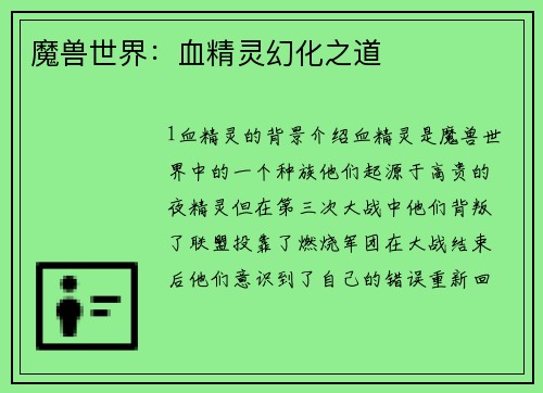 魔兽世界：血精灵幻化之道